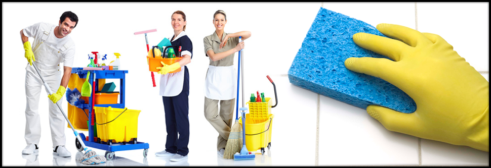 Professional Cleaning Services Sydney